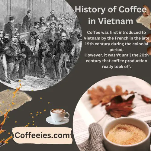 History of Coffee in Different Countries