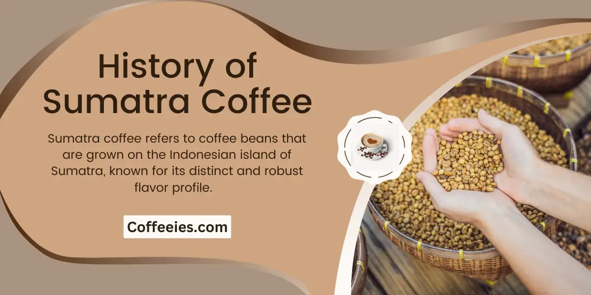 History of Sumatra Coffee