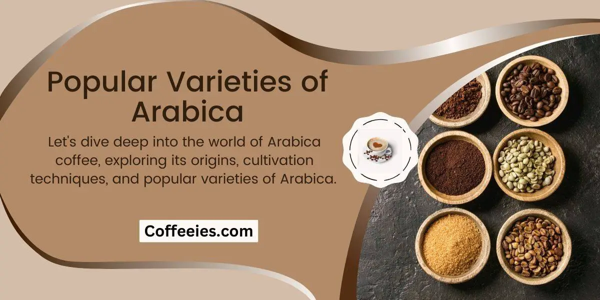 Popular Varieties of Arabica