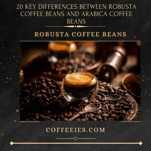 20 Key Differences between Robusta Coffee Beans and Arabica Coffee Beans