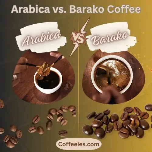 Arabica vs. Barako Coffee