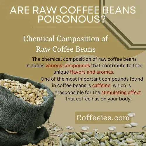 Are Raw Coffee Beans Poisonous?