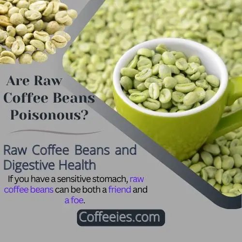 Are Raw Coffee Beans Poisonous?