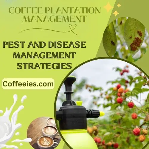 Coffee Plantation Management