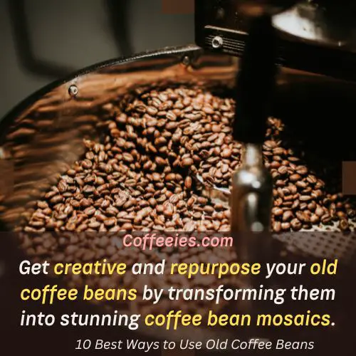 10 Best Ways to Use Old Coffee Beans