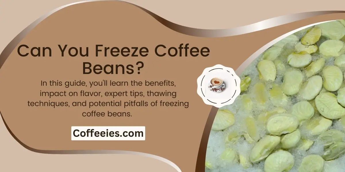 Can You Freeze Coffee Beans?