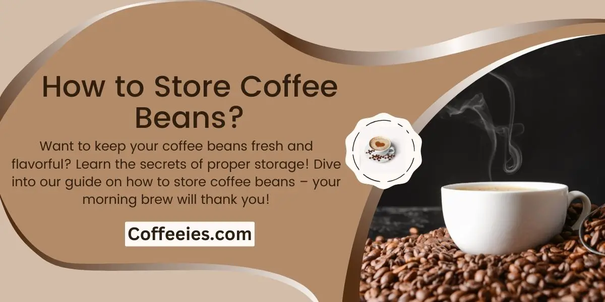 How to Store Coffee Beans?