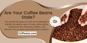 Are Your Coffee Beans Stale?