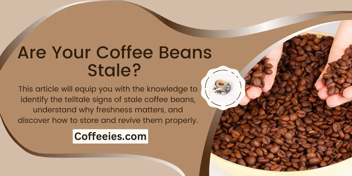 Are Your Coffee Beans Stale?