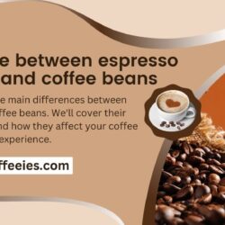 Difference between espresso beans and coffee beans