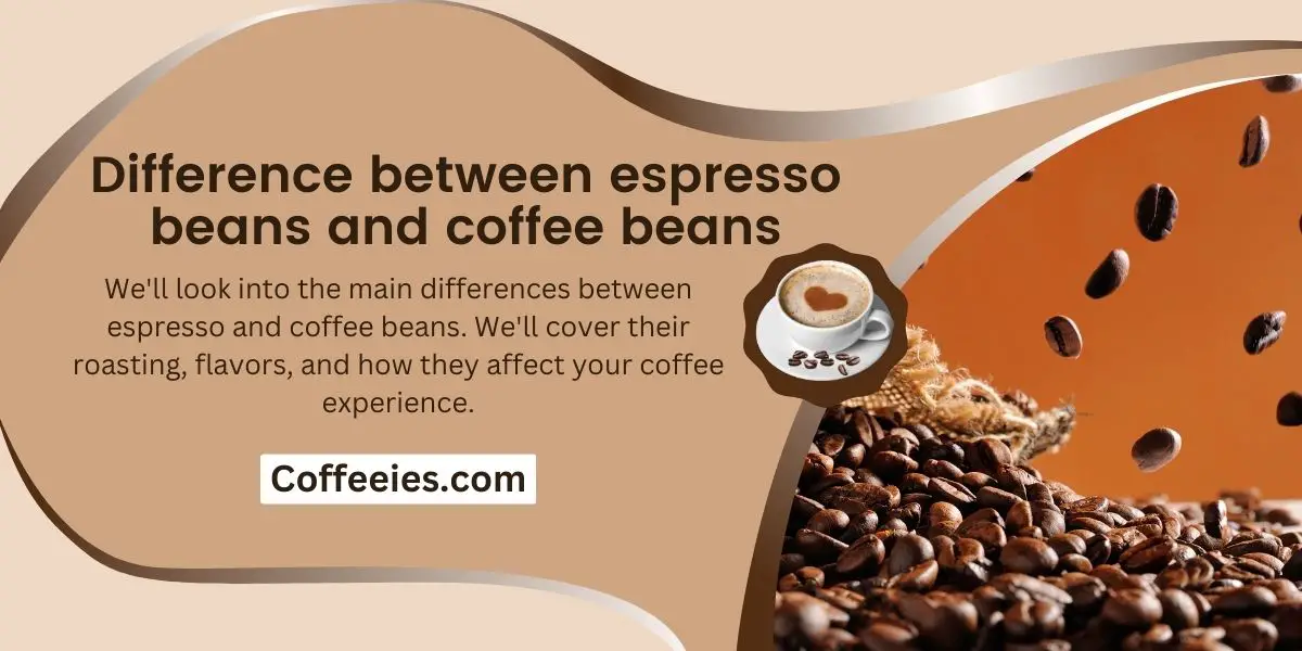 Difference between espresso beans and coffee beans